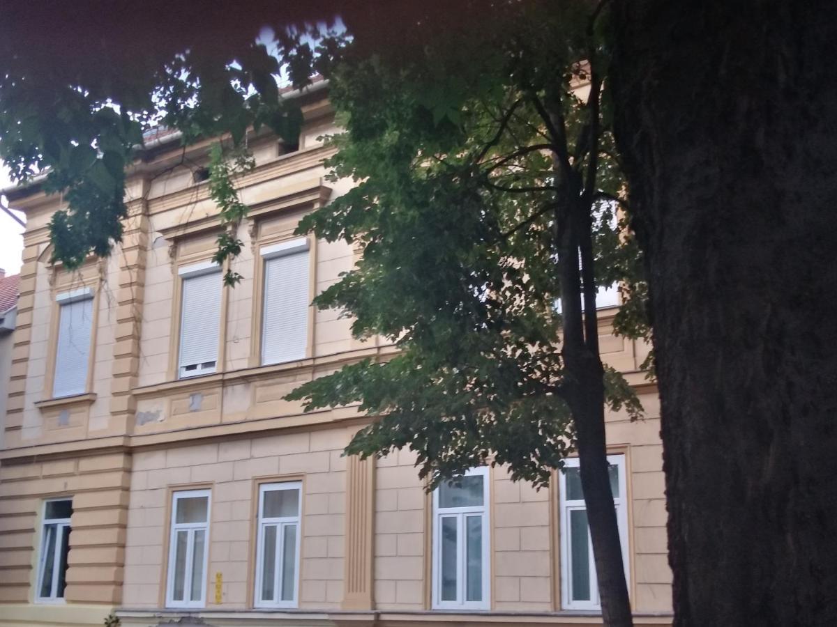 Napfeny Apartman Seghedin Exterior foto